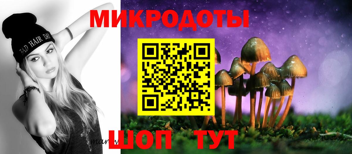 Псилоцибиновые грибы Psilocybine cubensis Усть-Джегута